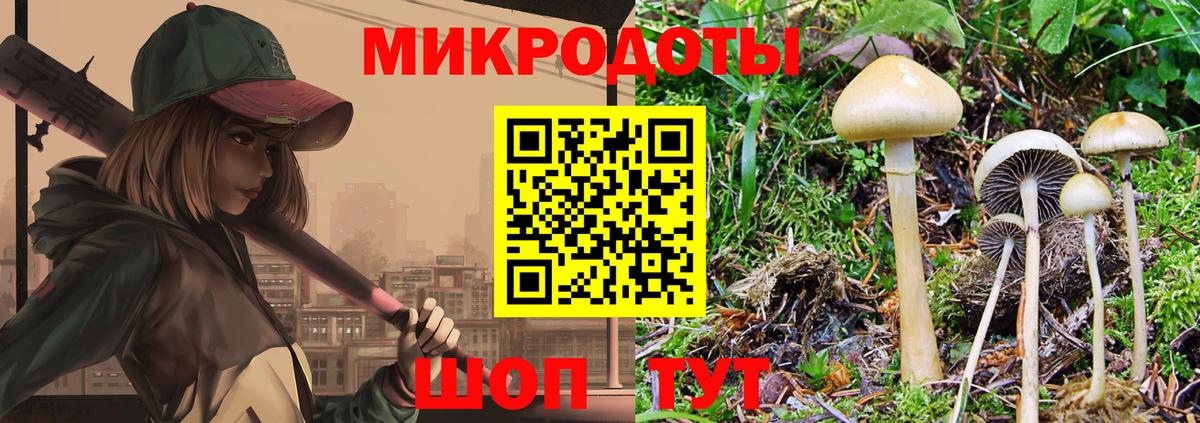 Галлюциногенные грибы ЛСД  Галлюциногенные грибы мухоморы  Санкт-Петербург  Вход с VPN 